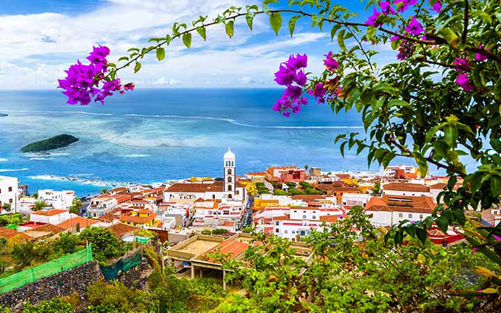 Iles Canaries (Santa Cruz de Tenerife)